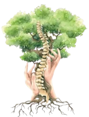 Physio & Soul – Physiotherapie-Coaching – Baumsymbol