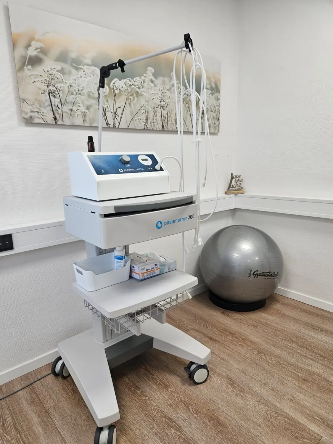 Physio & Soul – Physiotherapie-Coaching – Therapieraum